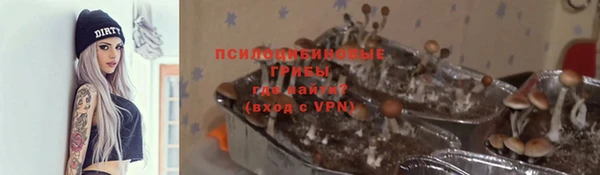кокс Алексеевка